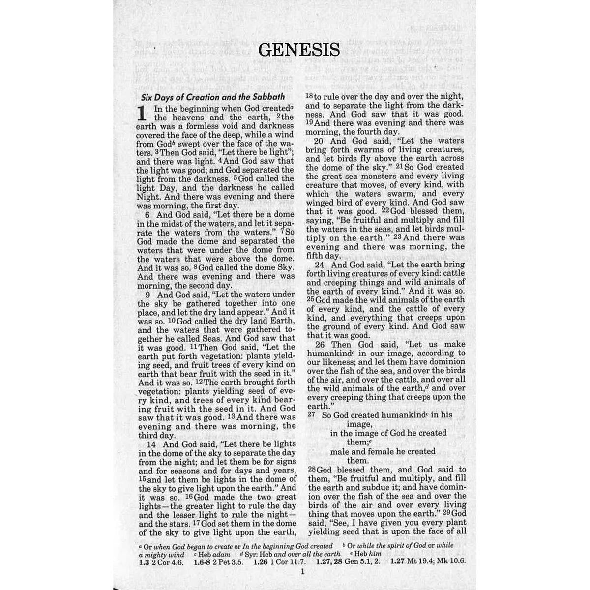 NRSV New Revised Standard Version Bible