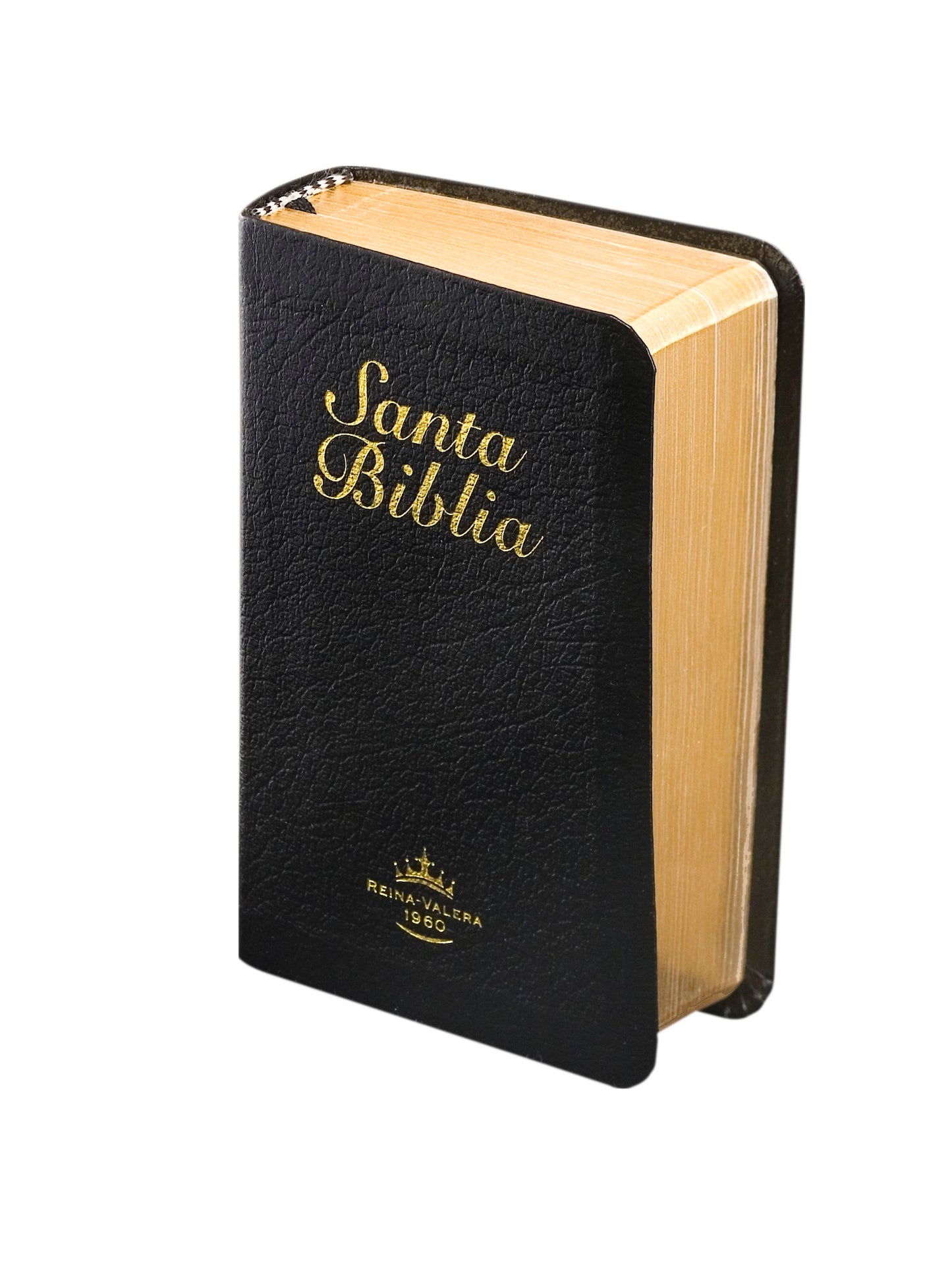 RVR60 Mini Bible
