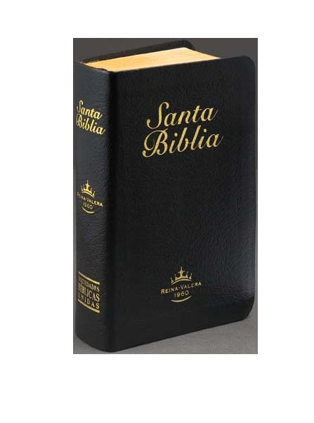 RVR60 Mini Bible
