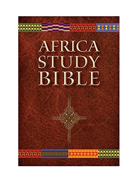 Biblia de estudio de África NLT