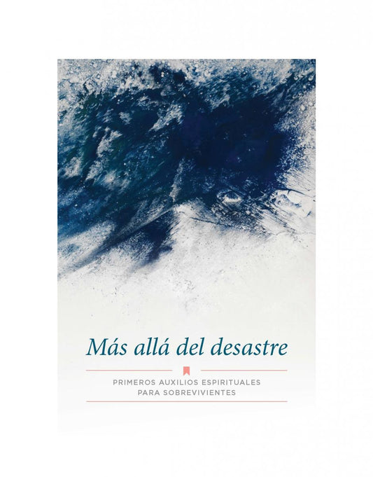 Más allá del desastre (Beyond Disaster)