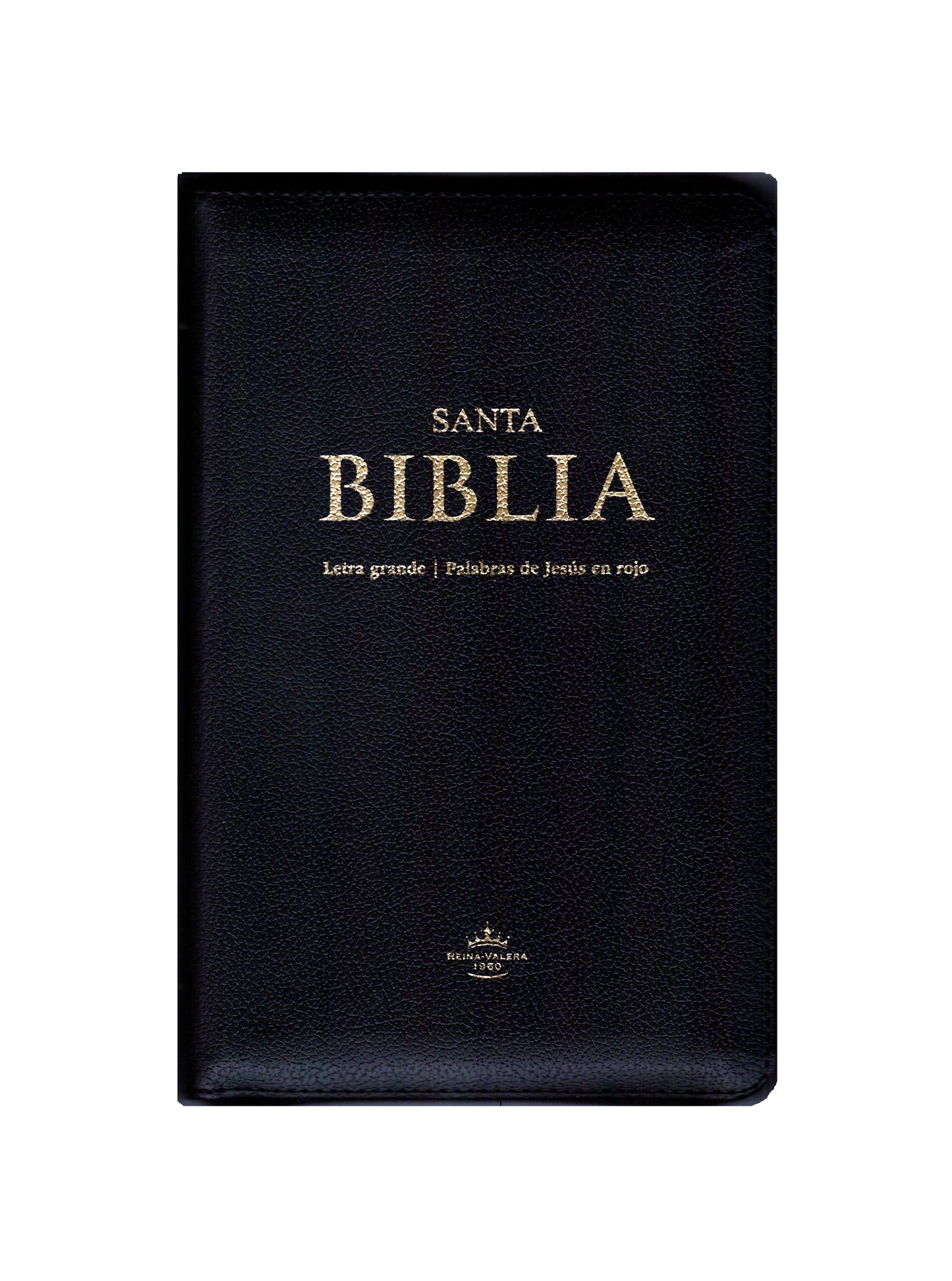 RVR60 Slim Bible with Jesus Words in Red