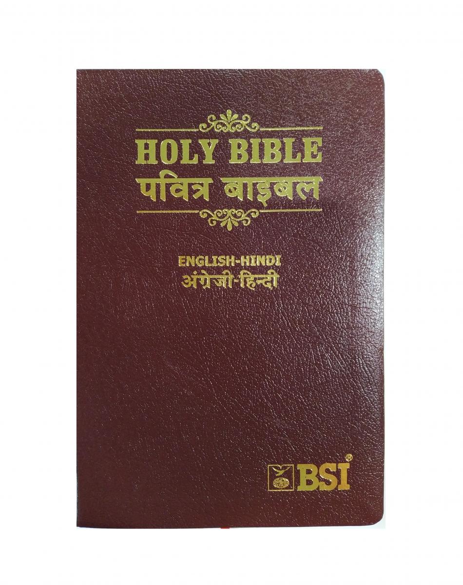 Hindi-English Bilingual Bible