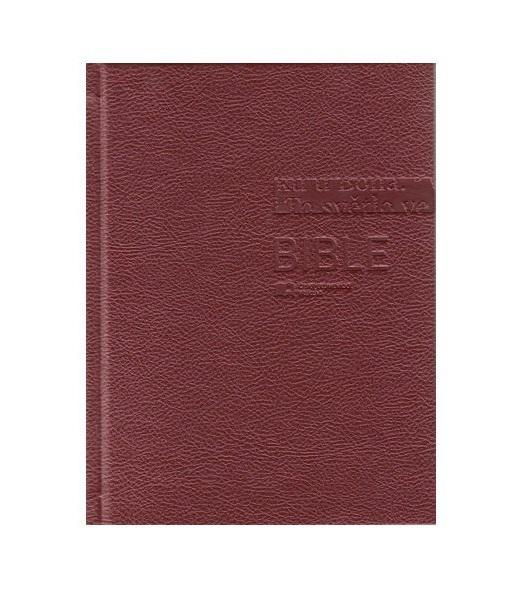 Bíblia Ecumênica Tcheca
