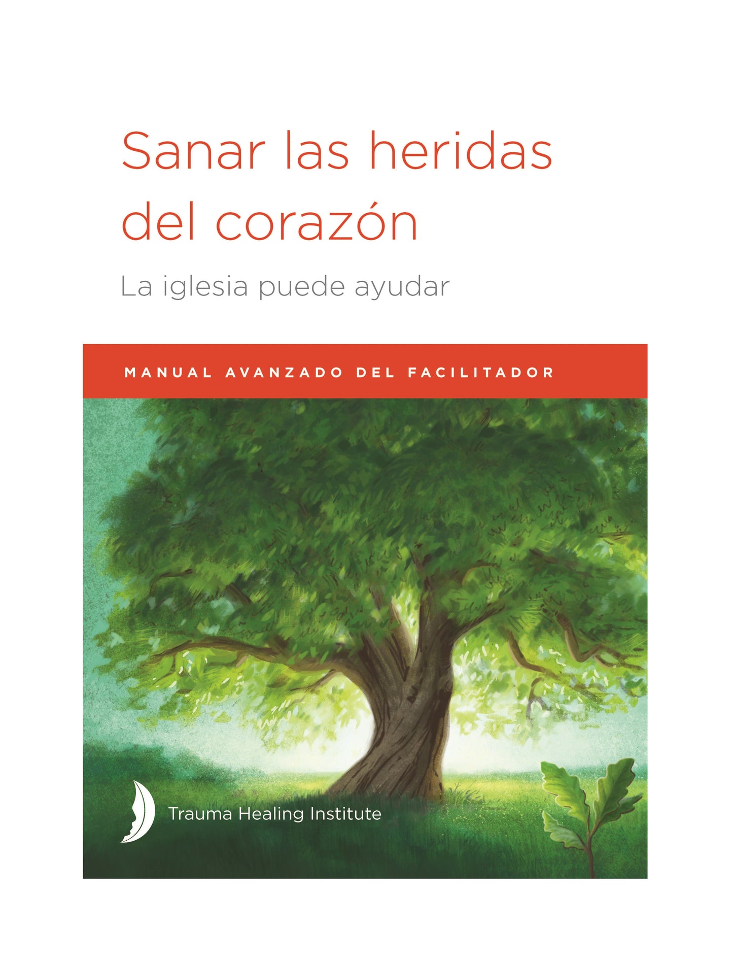 Sanar las heridas del corazón: Manual avanzado del facilitador - Print on Demand