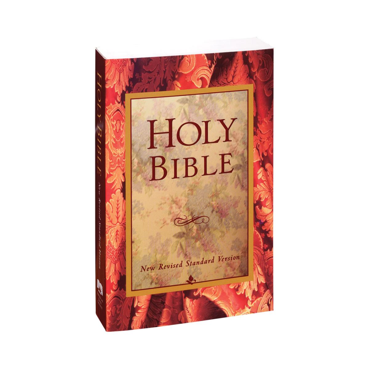 NRSV New Revised Standard Version Bible An American Bible