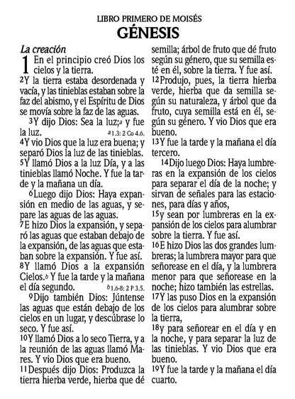 Bíblia impressa super gigante espanhola RVR60 - edição especial
