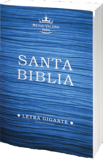 Bíblia em espanhol com impressão gigante RVR60