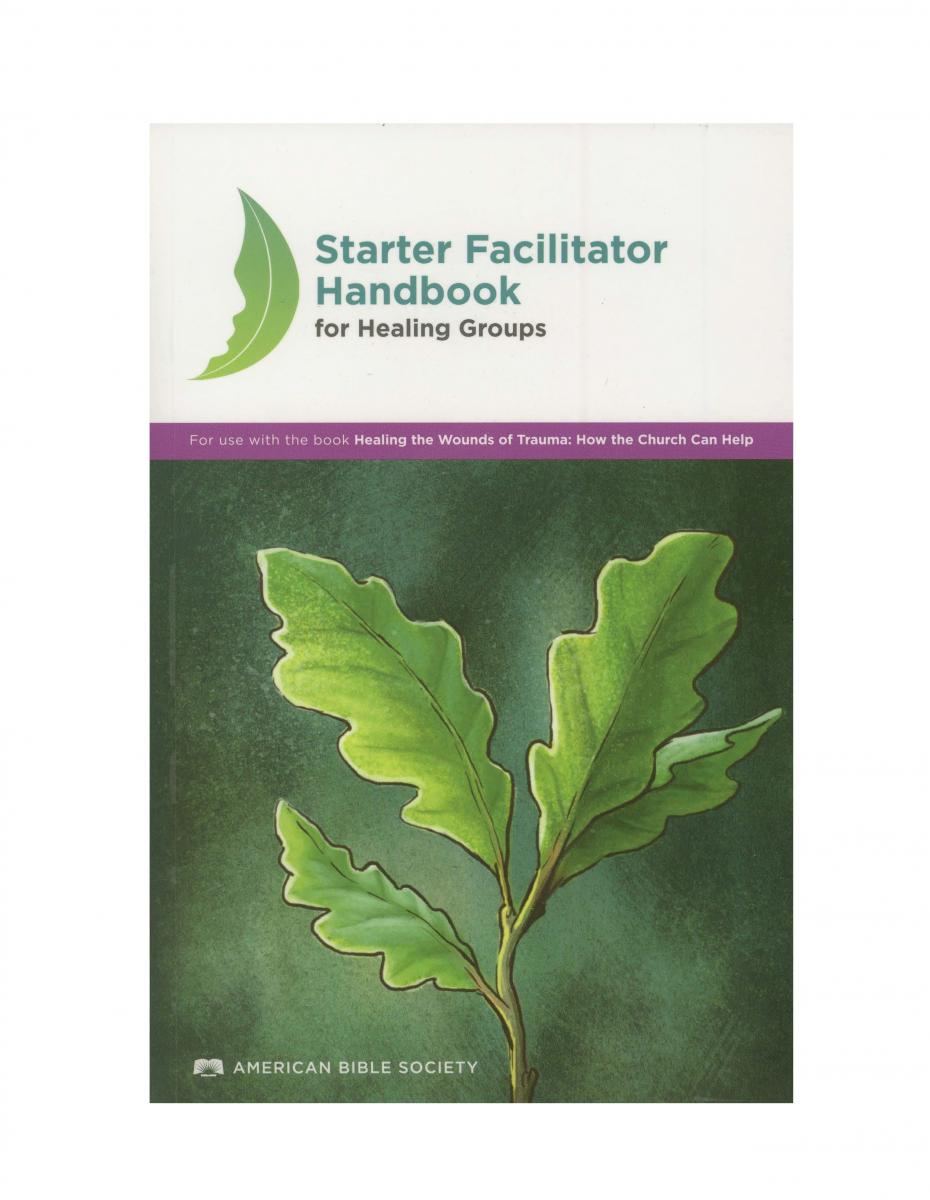 Starter Facilitator Handbook for Healing Groups - Print on Demand