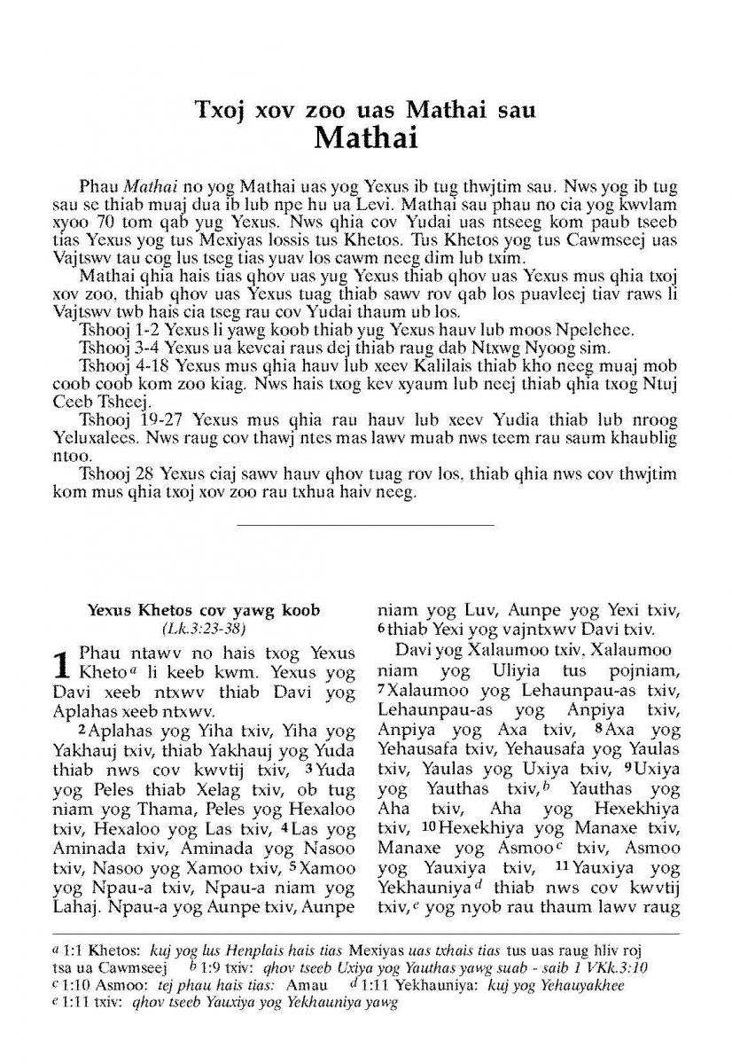 White Hmong New Testament - Print on Demand