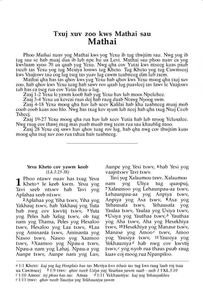 Blue Hmong New Testament - Print on Demand