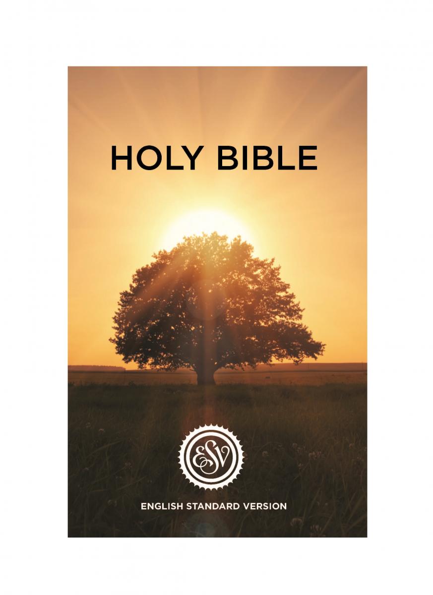 ESV English Standard Version Outreach Bible – Bibles.com, An American ...