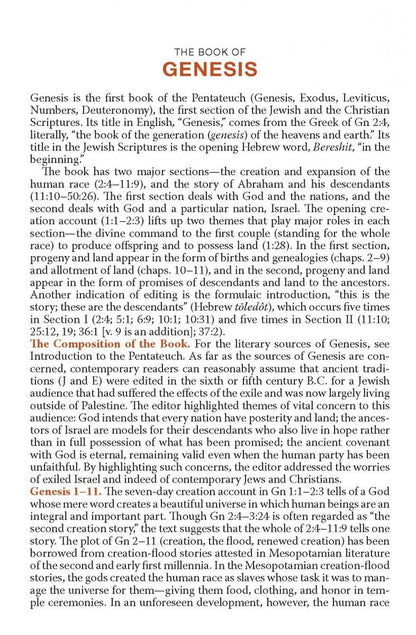 NAB New American Bible Revised Edition - Biblia Católica