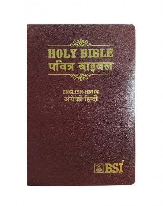 Biblia bilingüe hindi-inglés