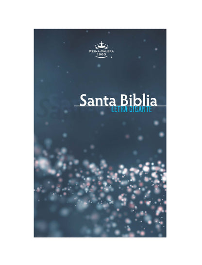 RVR60 Giant Print Outreach Bible